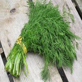 Gói 5 gram hạt giống rau thì là