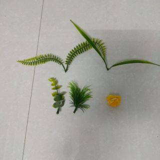 Điểm cỏ cân trộn mẫu