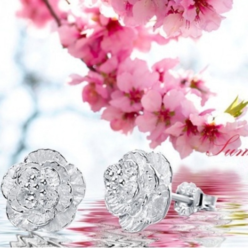 Ear Rings Women Gifts Stud Earrings Valentine 's Day 1pair European