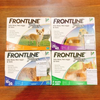 Nhỏ gáy frontline về ve rận cho chó <10kg