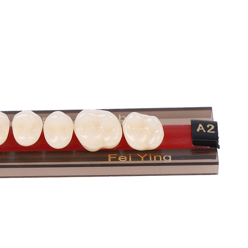 Hộp 84 Hàm Răng Giả Bằng Nhựa Polymer