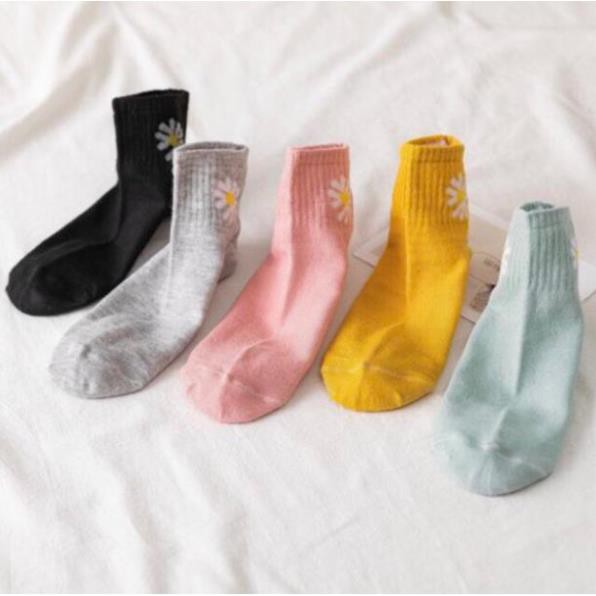 Set tất nữ 10 đôi cúc họa mi hot trend (Vớ hoa cúc)