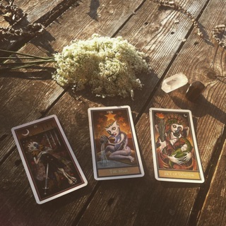 Bài Deviant Moon Tarot Premier Edition