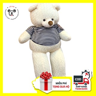 GẤU TEDDY SIZE – 1M8 KHỔ VẢI – CAO 1M6