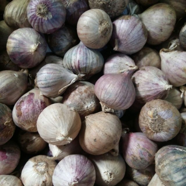 1kg tỏi cô đơn loại to đã nhặt sạch | BigBuy360 - bigbuy360.vn