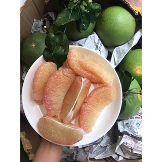 Bưởi Da Xanh 60k/kg