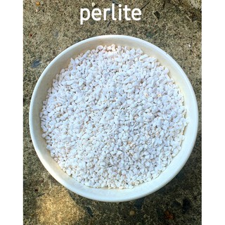 100g đá perlite đá trân châu