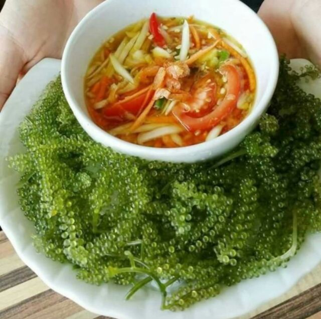 [ 100gr ] Rong nho tách nước nở ra 300g rong tươi | BigBuy360 - bigbuy360.vn