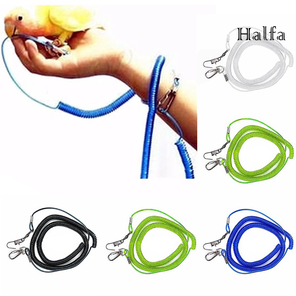 Dây Huấn Luyện Vẹt Cưng Chuyên Dụng