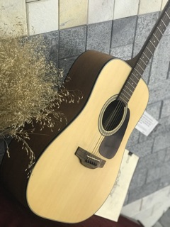 Guitar takamine D1D NS