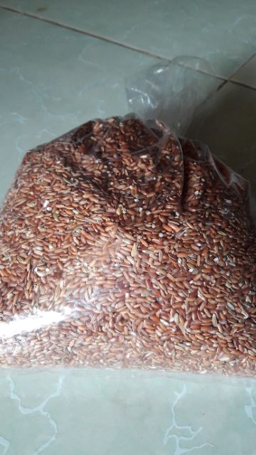 Gạo lứt tẻ đỏ Điện Biên. 25k /1 kg