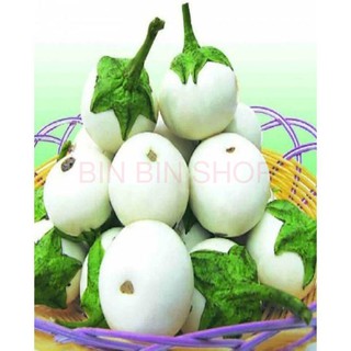 Hạt giống cà pháo trắng -2gr