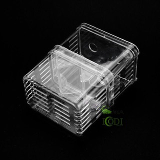 Lồng Đẻ Cho Cá Thủy Sinh - Cá Cảnh