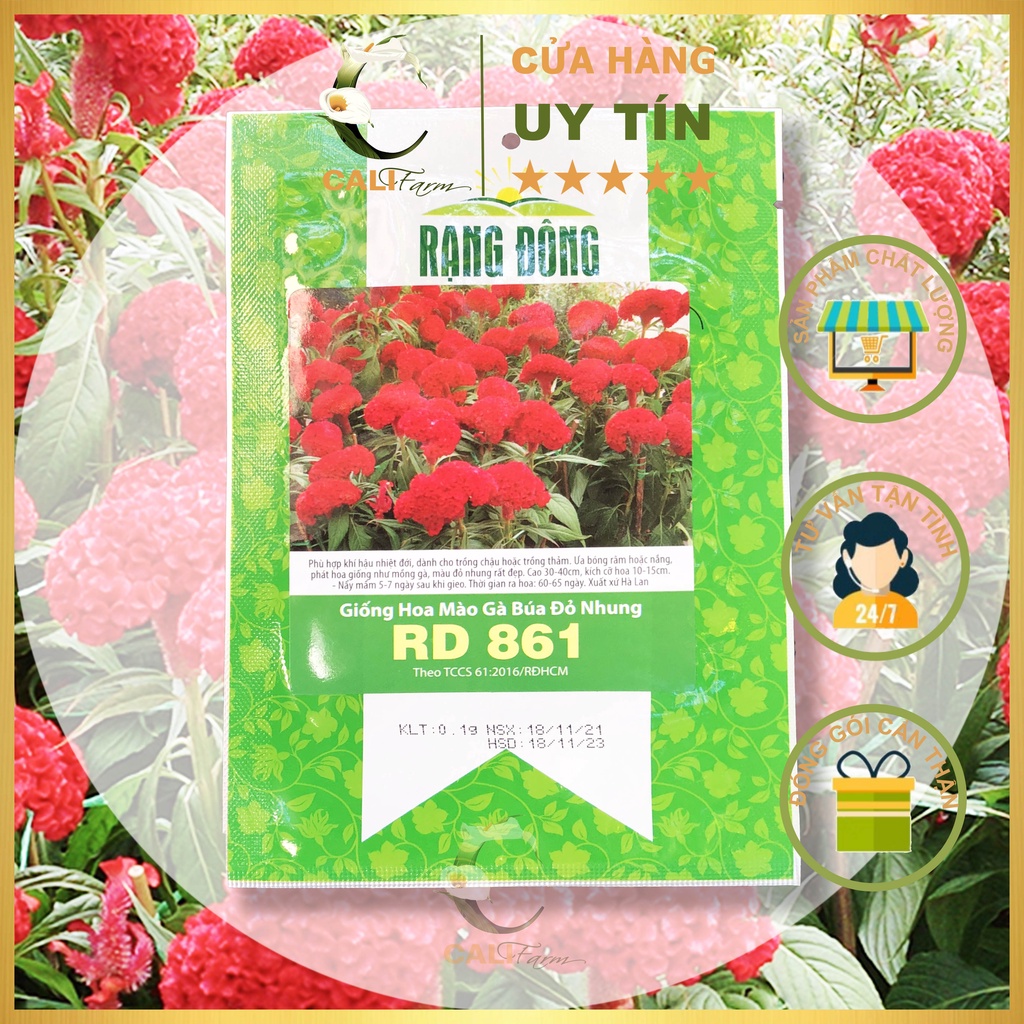 Hạt Giống Hoa Mào Gà Búa Đỏ Nhung RD 861 Gói 0,1g