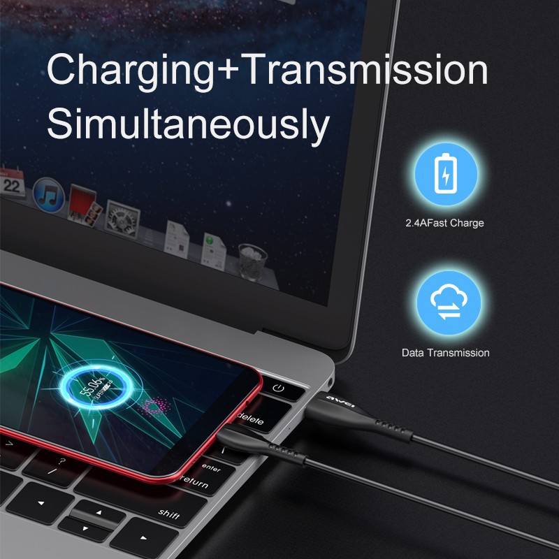 Cáp Sạc Nhanh Awei Cl-115 Type-C Và Micro Usb 2.4a