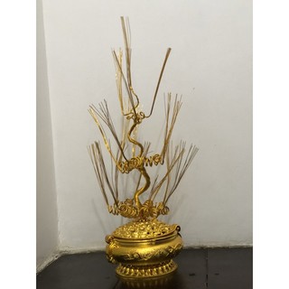 Gốc cây thỏi vàng cao 55cm