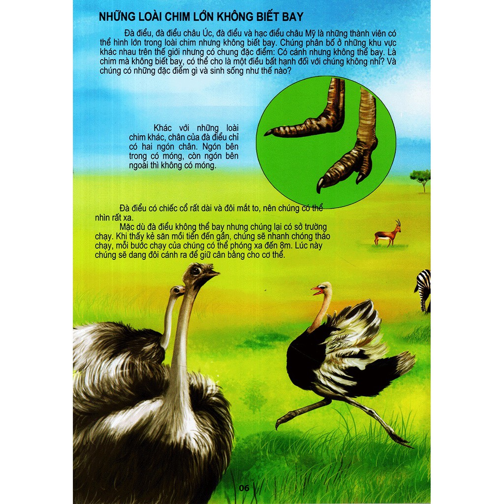 Sách - Thế Giới Động Vật Kì Thú - Thế Giới Loài Chim