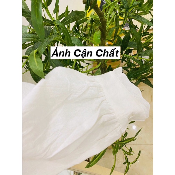 (T.U Bigsize 50-80kg) Áo Sơ Mi Cổ Bèo Tay Sen Chất Thô Sần