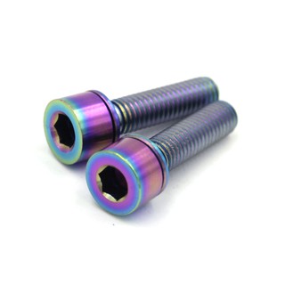 01 cặp ốc Titanium M5x20 - Ốc titan mẫu #03 (7 màu titan)