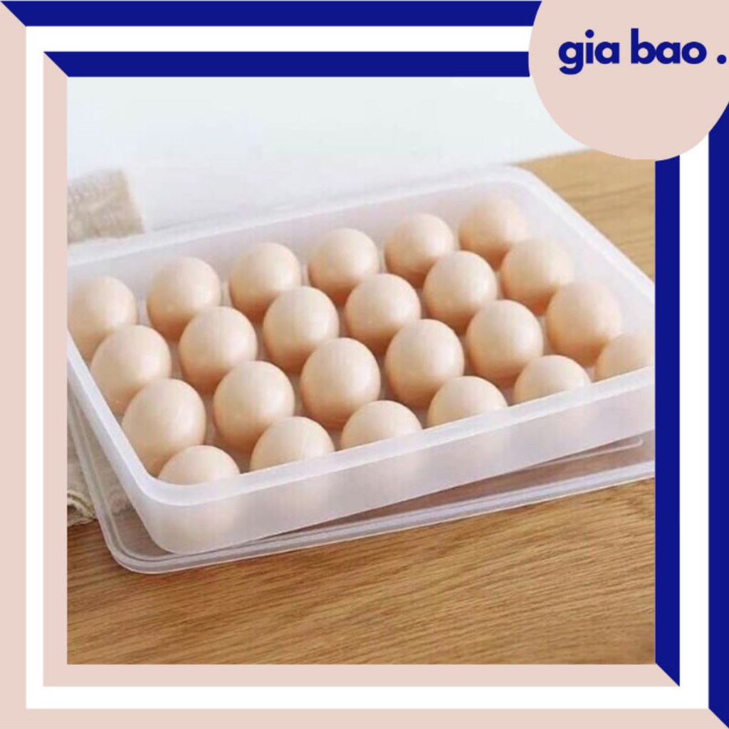KHAY ĐỰNG TRỨNG 🥚 KHAY ĐỰNG TRỨNG BẰNG NHỰA 24 NGĂN HDTS