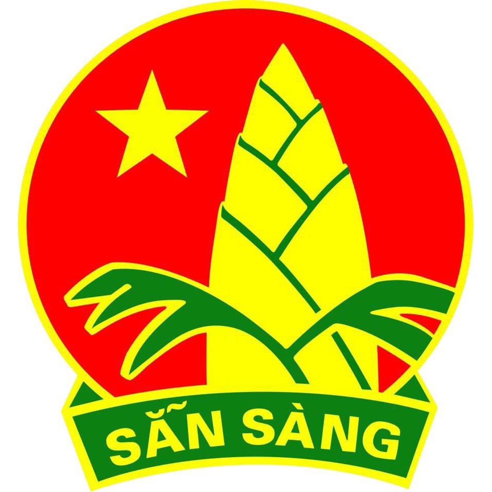 huy hiệu đội