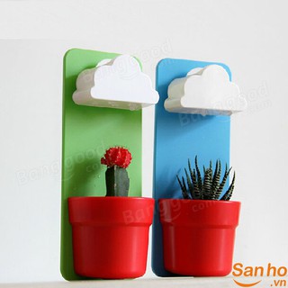 Chậu nhựa treo tường tự tưới có sẵn viên nén trồng cây và hạt giống bảng màu vàng hoặc hồng