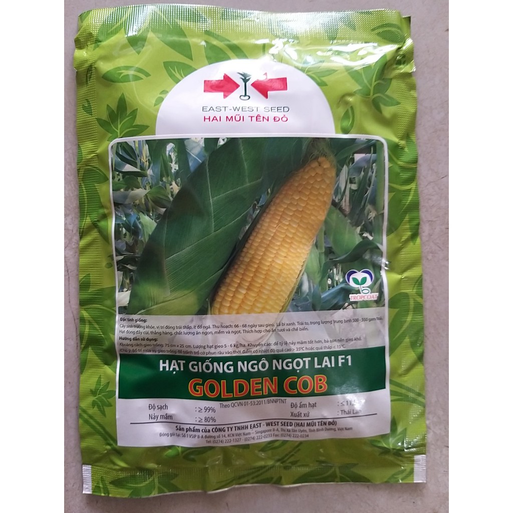 Hạt giống bắp mỹ Golden cob Hai Mũi Tên gói 50g