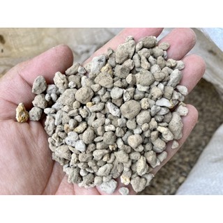 500g đá bọt pumice indo