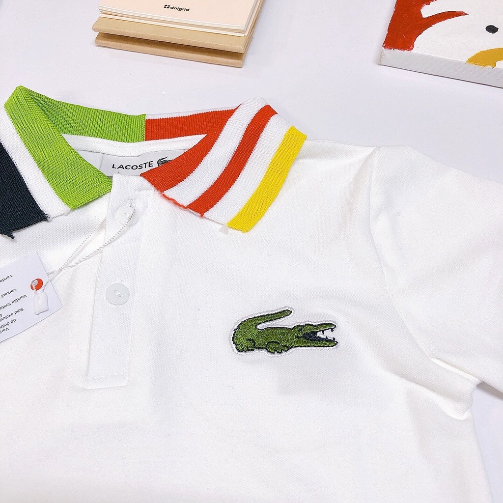Áo phông lacoste trắng cổ kẻ