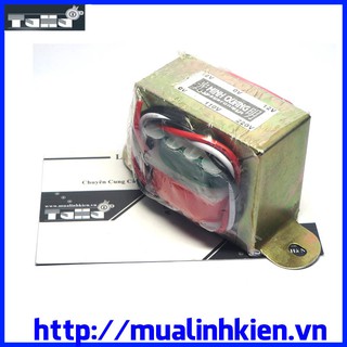 Biến áp đối xứng 12V-12V (840mA)