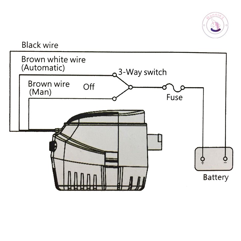 Máy bơm nước tự động 12v 1100gbh bilge kèm công tắc