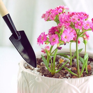 Dụng Cụ Làm Vườn Cuốc Xẻng Làm Vườn Mini Chăm Sóc Cây