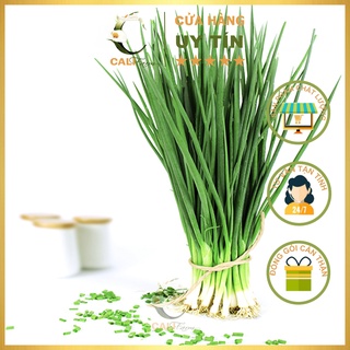 Hạt Giống Hành Lá Rado 25 (2,5gr)