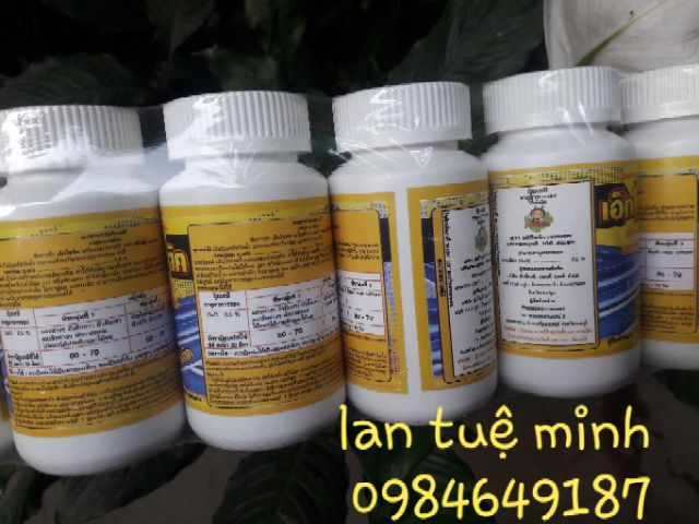 Chế phẩm kích rễ siêu mạnh exotic hàng nhập khẩu Thái Lan chai 100ml