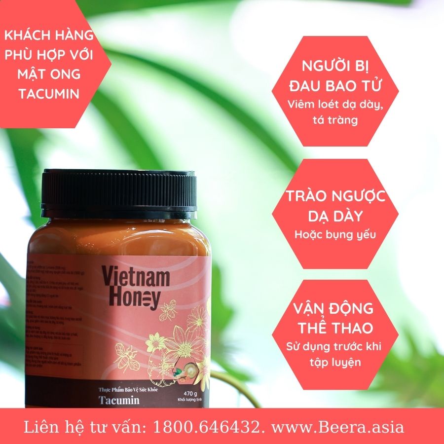 TOP1[Mua 2 giảm 15] Mật ong Nghệ sữa chúa Tacumin Vietnamhoney Beera hỗ trợ giảm viêm loét dạ dày, tá tràng(1 lọ x 470g)