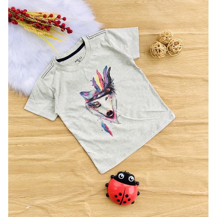 🚗 Áo cotton hàng shop bé trai từ 25-40kg