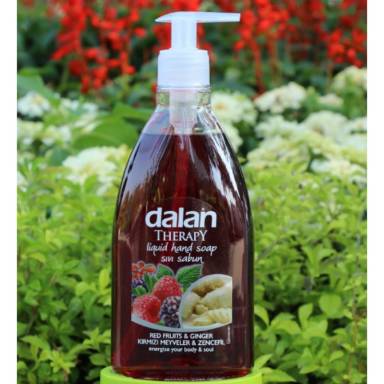 Xà phòng nước dalan sát khuẩn hương trái cây chín và gừng 400ml - dalan therapy liquid hand soap red fruits &amp; ginger