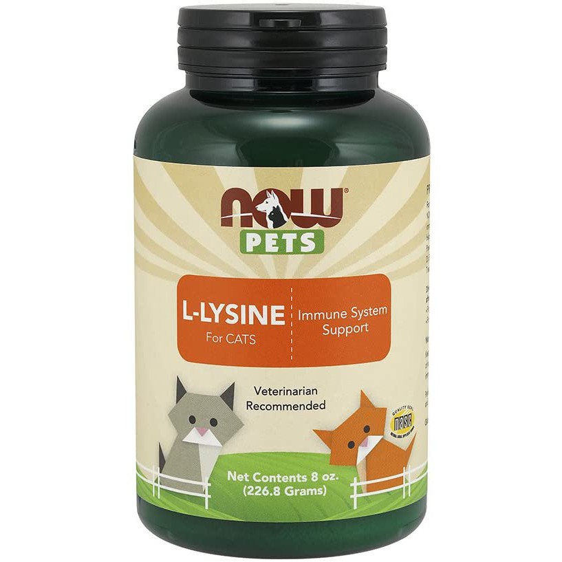 [ORDER USA 2-4 tuần] bột cho mèo NOW Pet L-Lysine for Cats