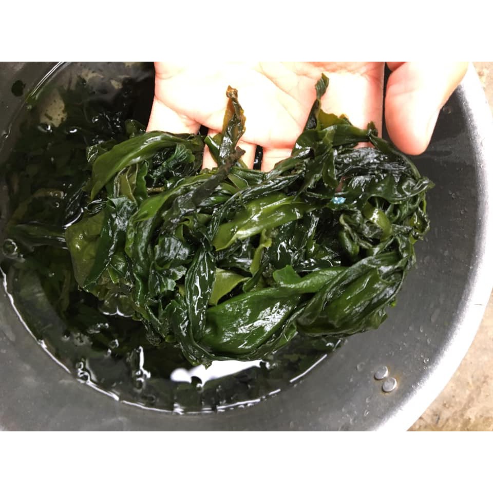 Rong biển khô hàn quốc gói 100g [Bao 1 đổi 1, date mới], dùng để nấu canh, xào, làm salat