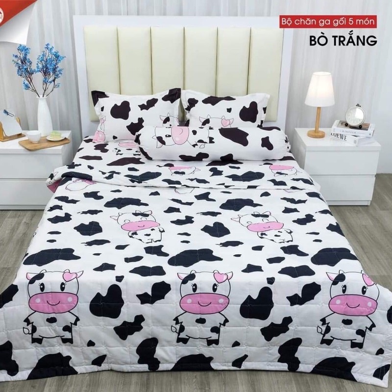Trọn bộ 4 món ga gối cotton poly