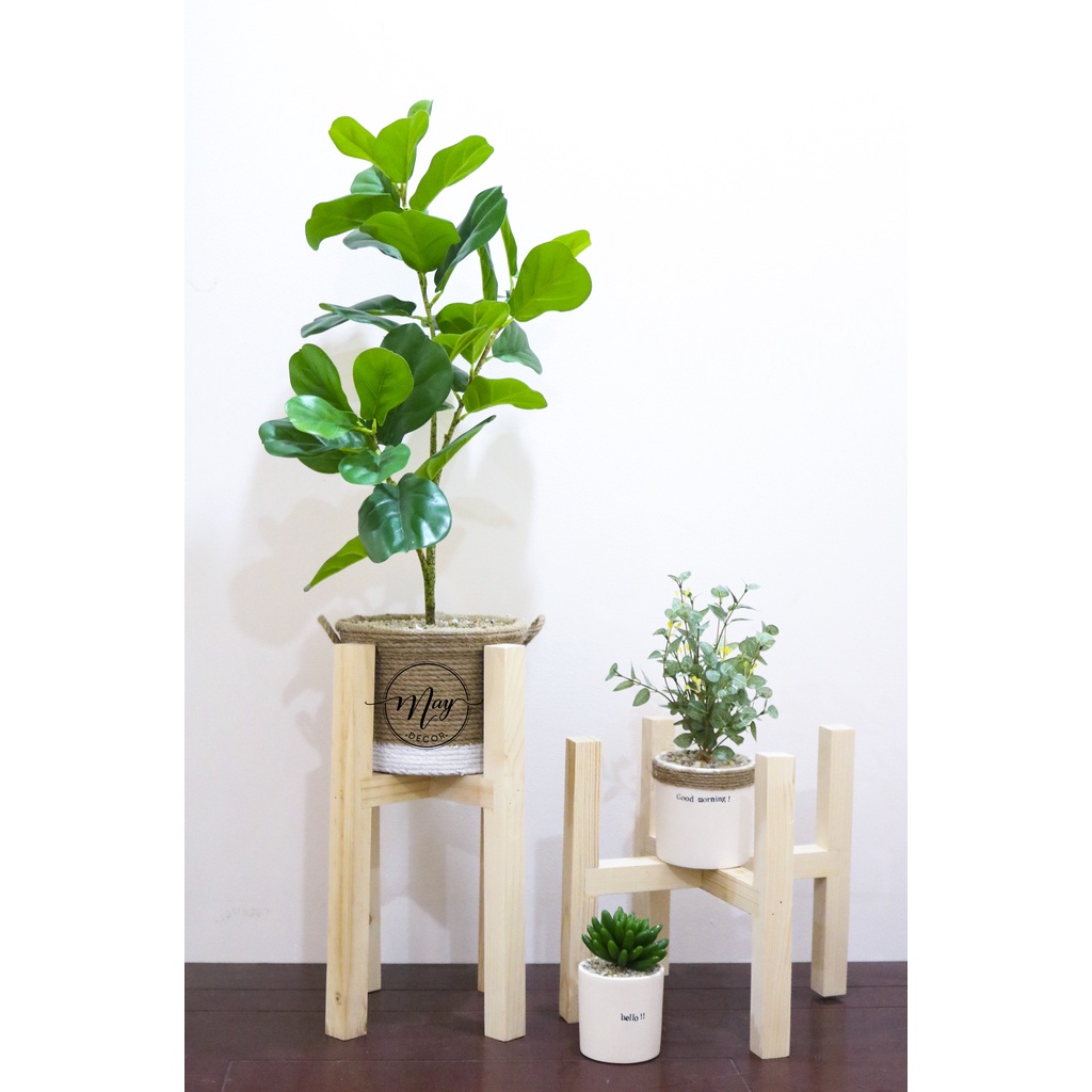 Cây giả, Set chậu bàng Singapore giả cao 1m, 75cm,65cm