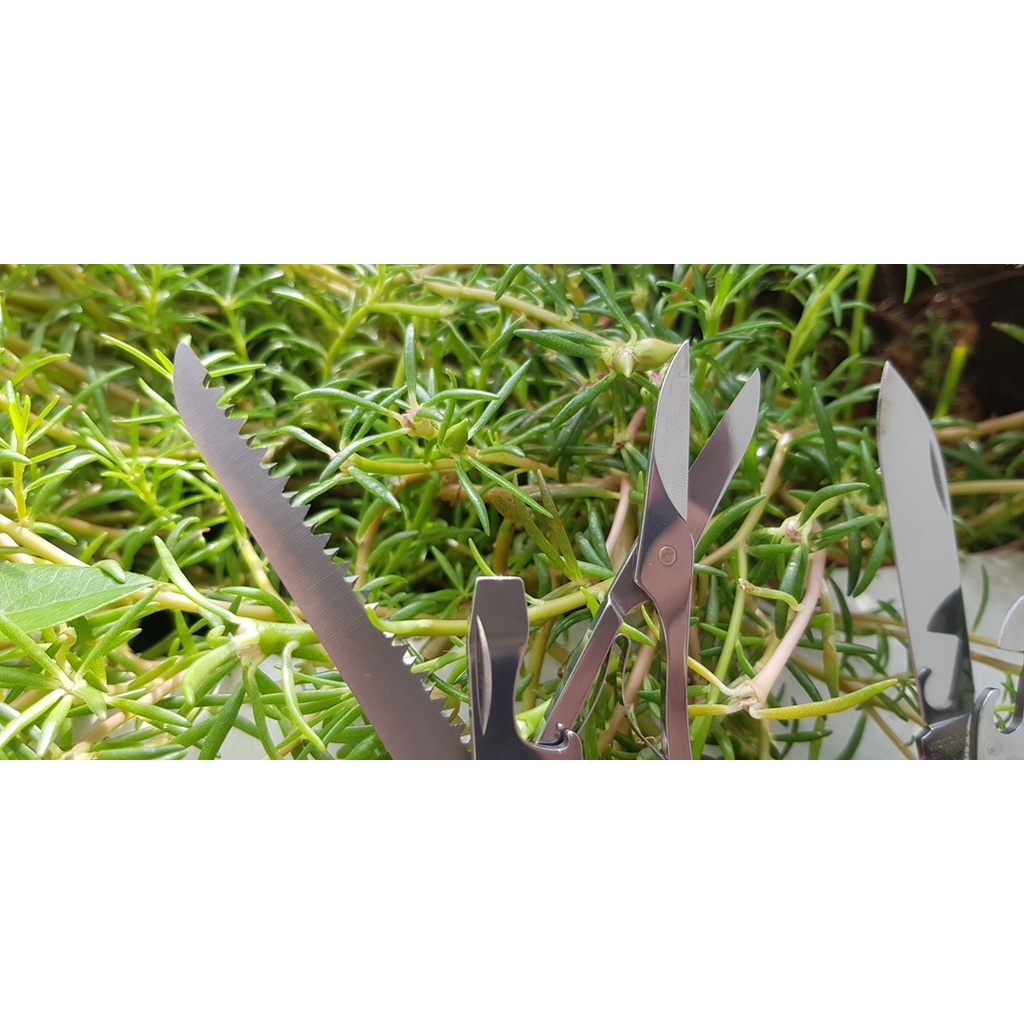 Dụng Cụ Đa Năng Victorinox Huntsman Thụy Sĩ.