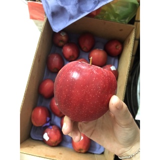 Táo gala hàng loại 1