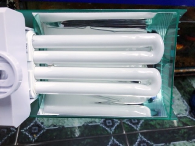 ĐÈN LED KẸP THỦY SINH ODYSSEA COMPACT R27 27W