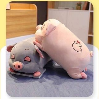 Mền Gối Ôm Con Heo