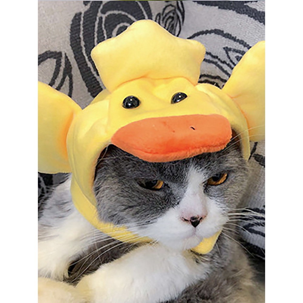 Mũ hóa trang dịp Halloween dễ thương để đội cho thú cưng