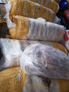 Mực Cà Mau 500g (50 con)