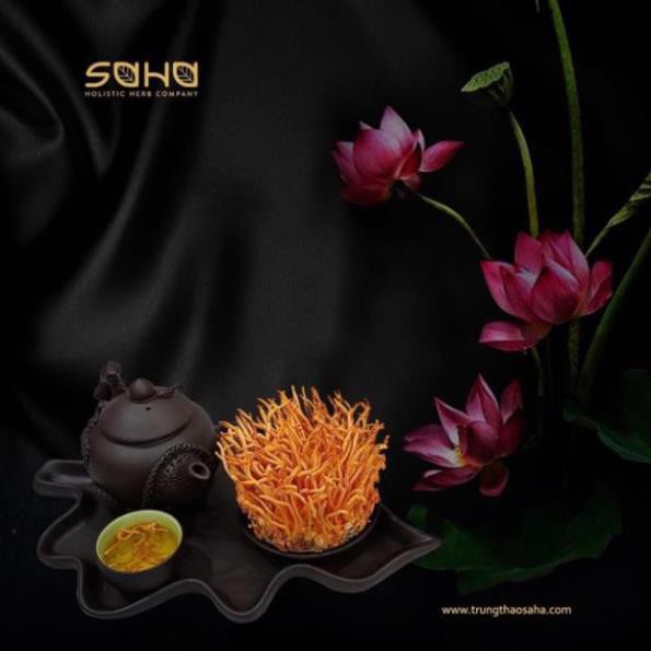 Đông Trùng Hạ Thảo SaHa Hộp 9 gói, 1g/gói | BigBuy360 - bigbuy360.vn