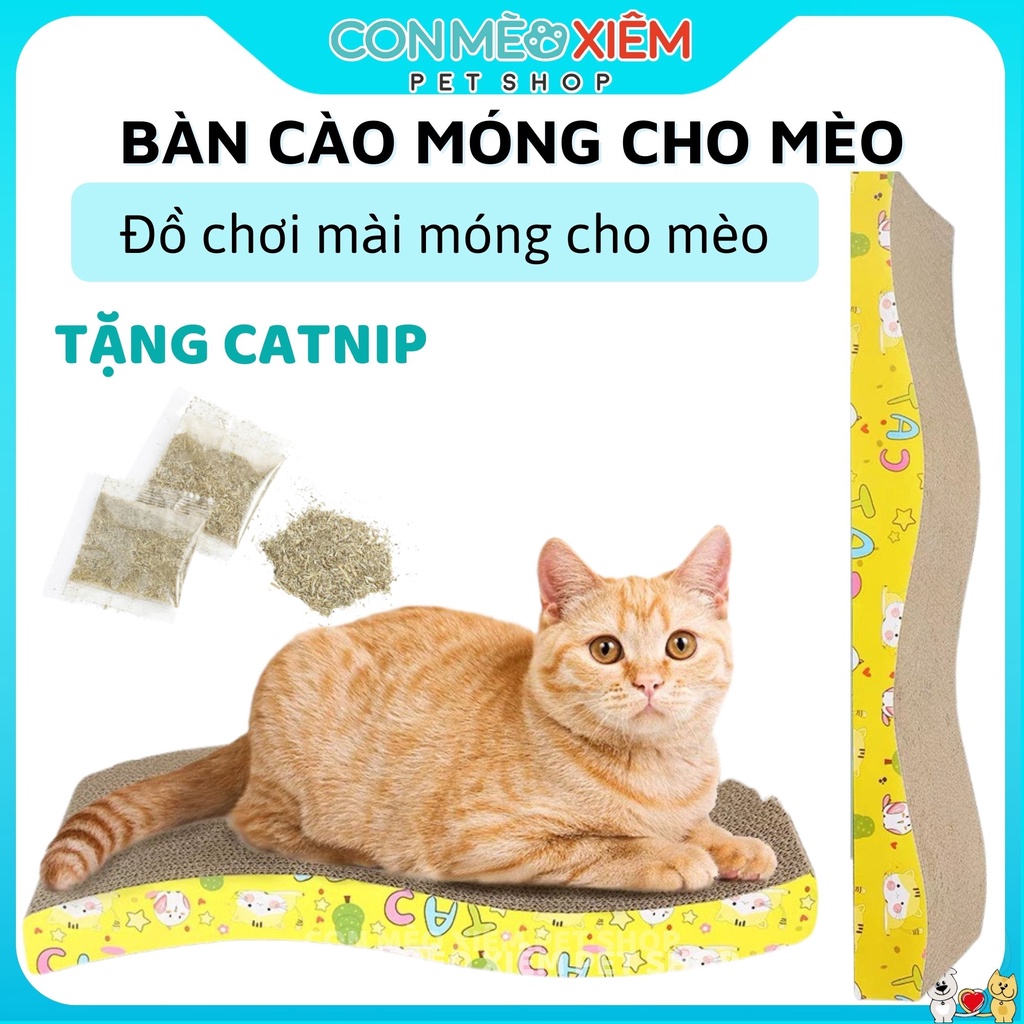Bàn cào móng cho mèo lượn sóng nhiều màu, phụ kiện đồ chơi cho mèo nội thất thú cưng Con Mèo Xiêm