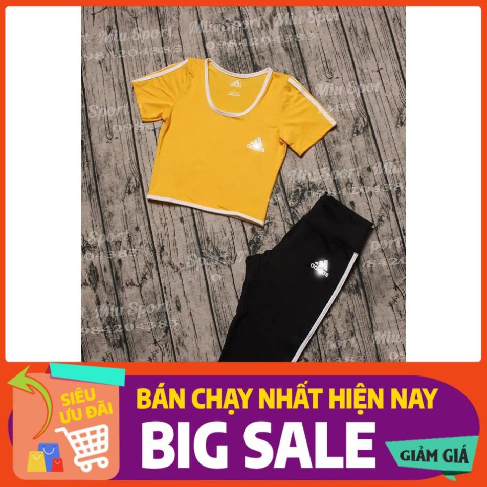 Set Bộ Đồ Tập Gym Yoga Aerobic Cho Nữ Đẹp, Cao Cấp, Big Size, Vnxk - Quần Lửng, Cạp Cao, Nâng Mông Áo Croptop Có Tay